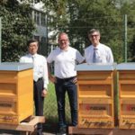 京セラの欧州拠点、ミツバチプロジェクトを開始。ドイツの事業所に6つの巣箱を設置