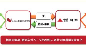 農業総研、米卸最大手の神明と業務提携へ