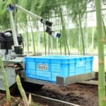inahoがRaaSモデルで自動野菜収穫ロボットのサービス提供を開始