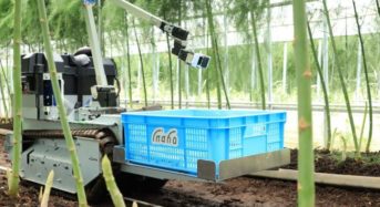 inahoがRaaSモデルで自動野菜収穫ロボットのサービス提供を開始