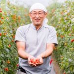 鳥羽農園、北海道南富良野のミニトマト約120個を完全手しぼりした「ミニトマトジュース」を販売