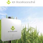 ソフトバンク、コロンビアの「スマートライスファーミングプロジェクト」に農業AIブレーン「e-kakashi」を納入