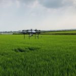 住友商事とナイルワークス、農業用ドローンによる1,000ヘクタール超の水稲生育データを取得