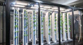 グリーンリバーHD、人工光型の縦型植物工場システムを開発。店舗併設型などを想定
