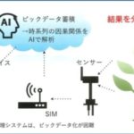 日本IBMとカクイチ、栽培環境データ分析とナノバブル散水などを融合したサービスを開始