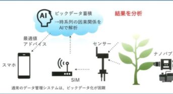 日本IBMとカクイチ、栽培環境データ分析とナノバブル散水などを融合したサービスを開始