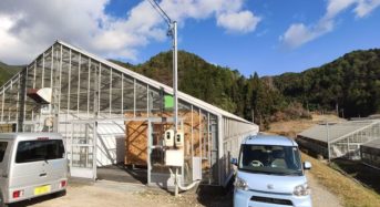 電気工事・太陽光発電のエネテク、東白川村にてキクラゲの栽培と販売開始