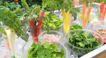 自家栽培した有機野菜のレストラン「スローフードキッチン レールサクレ」がオープン