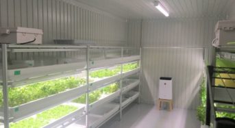 スタートライン、農福連携型・植物工場ファームを大阪府八尾市にオープン