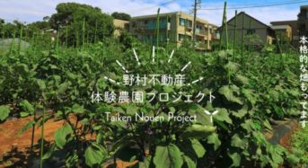 野村不動産とJA世田谷目黒、11月より都市型体験農園サービスを開始