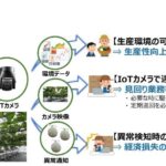 NTT東日本、IoTを活用したメロン水耕栽培による通年生産に関する実証実験を開始