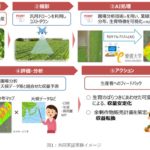 NTT西日本グループ、愛媛大などと野菜の生育状況を見える化。独自の圃場分析技術の開発へ