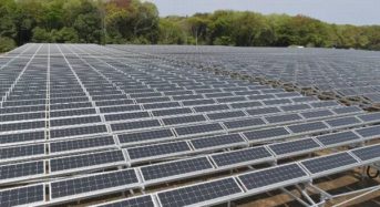 西武HD、太陽光発電とブドウ栽培のソーラーシェアリング事業を開始