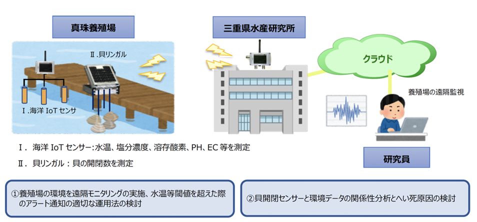 三重県水産研究所・ミキモトなど、IoTを活用した真珠養殖業の活性化へ