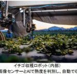 ヤマハ発動機とクボタ、イチゴ自動収穫ロボット開発の米ベンチャーに追加出資