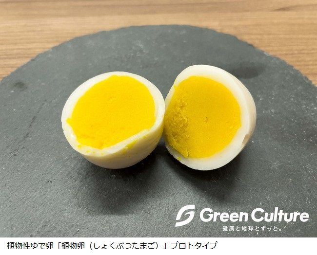 グリーンカルチャー、植物性ゆで卵の試作品を開発。植物肉「Green Meat」の新モデルも販売