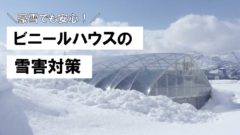 渡辺パイプ、ビニールハウスにおける雪害対策ページを公開