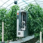 AGRIST、ピーマン自動収穫ロボットの普及に向けて鹿児島県・東串良町と包括連携協定へ