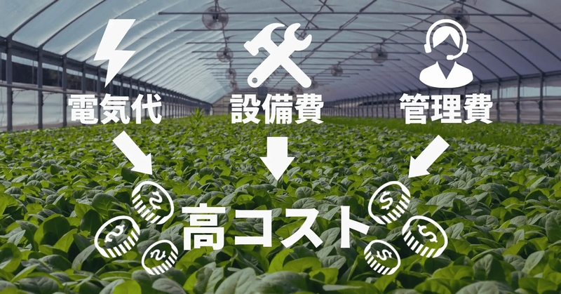 富士ゴム産業、植物工場や農業向けスポンジ資材の専門サイトをオープン