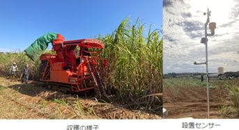クボタ、NECなどの共同PJ。鹿児島県徳之島でサトウキビ栽培のスマート農業実証へ