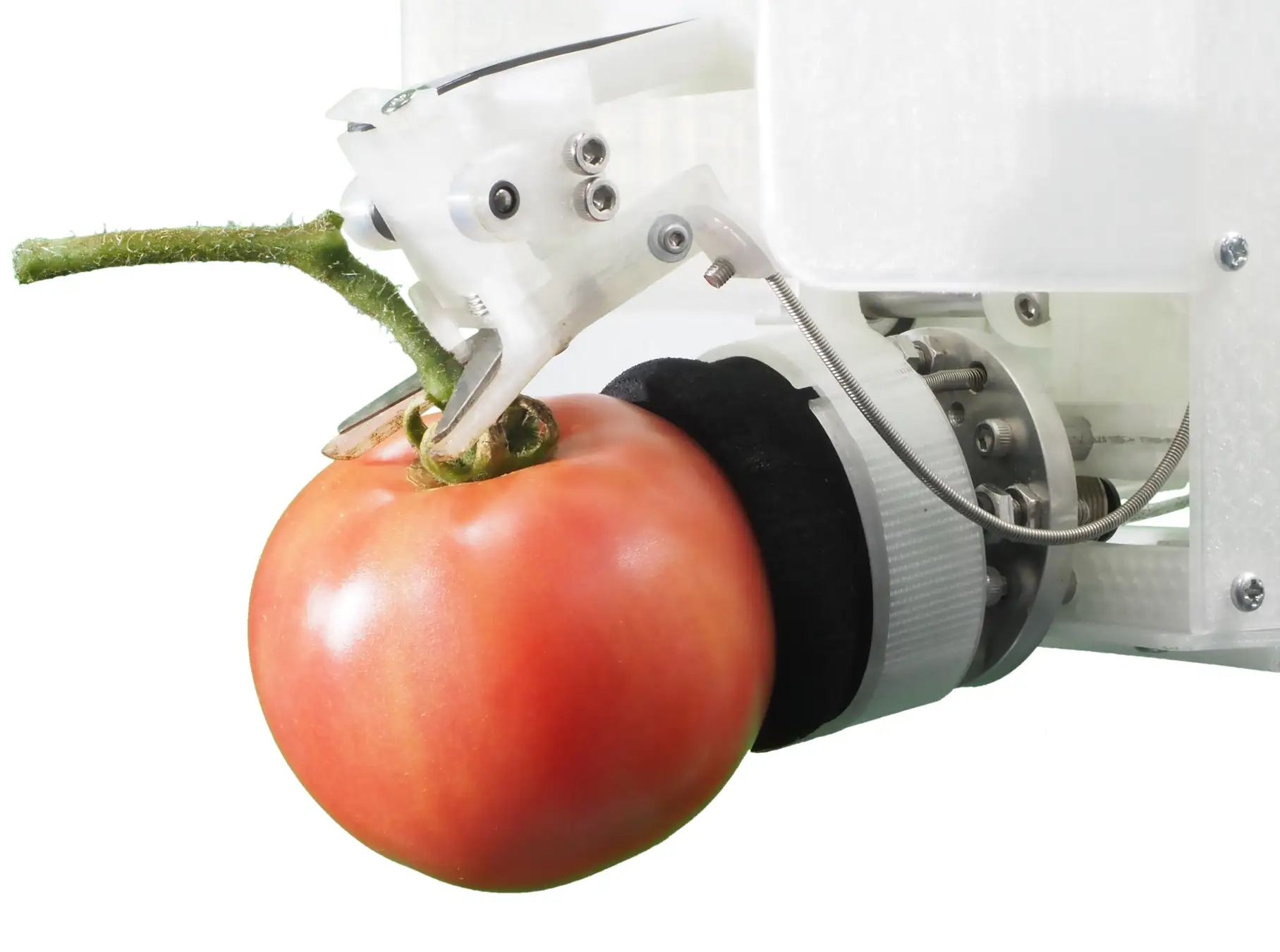 ヤンマー、トマトの自動収穫ロボットの試作機を「2022国際ロボット展」に出展
