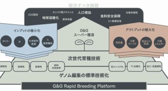 種苗開発・ゲノム編集ベンチャー「グランドグリーン」5億円の資金調達へ